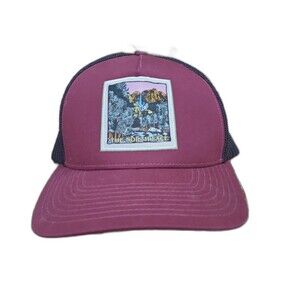 Northface Keep it Patched Trucker snapback